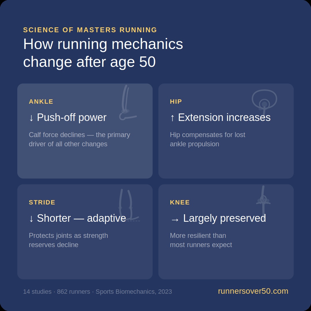 How Running Mechanics Change Over Age 50