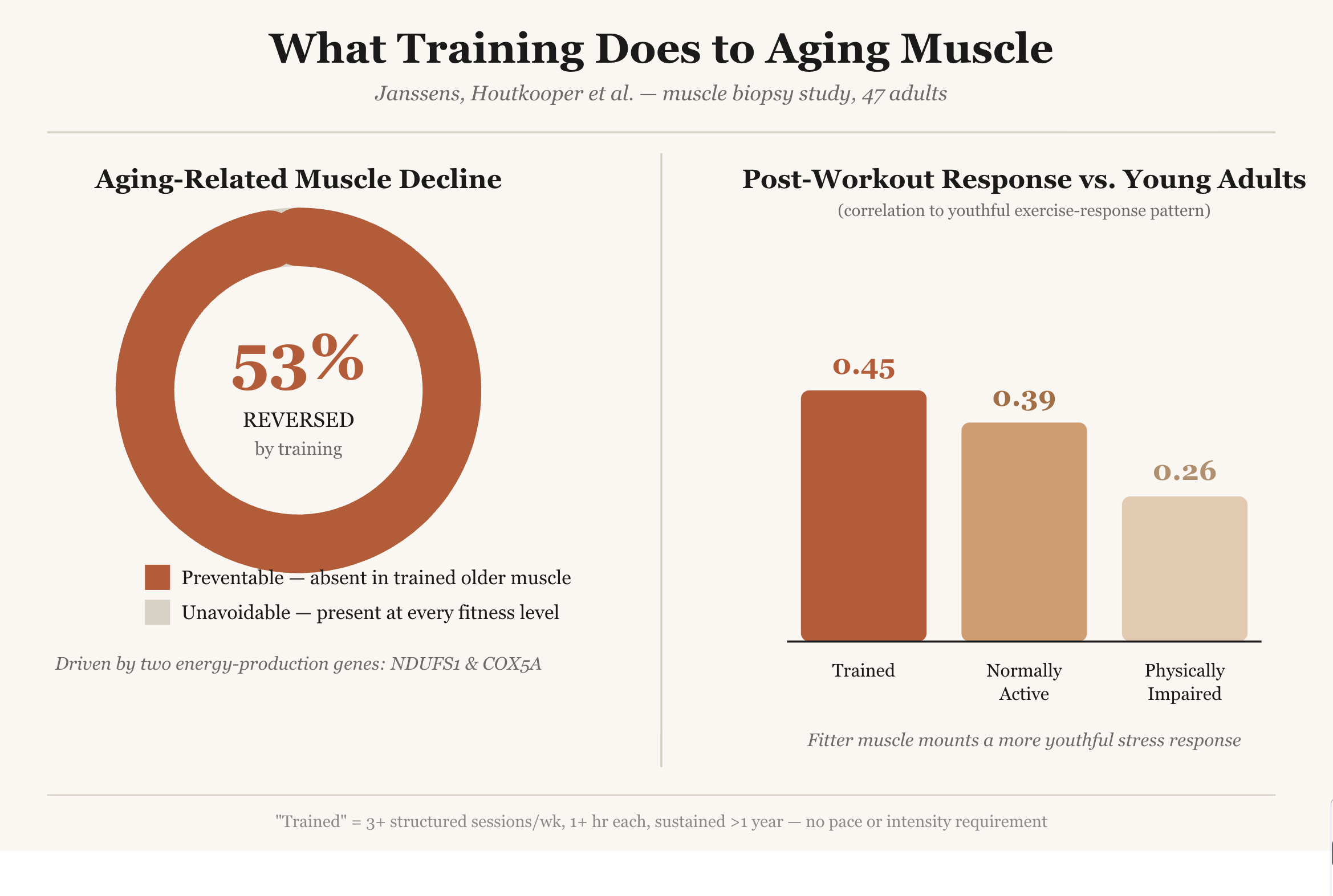 Muscle Aging is Reduced in Regular Exercisers Over 50